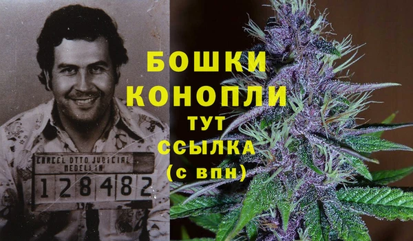 герыч Козельск