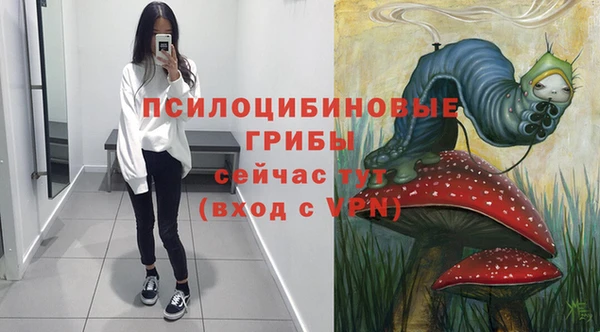 гашик Корсаков