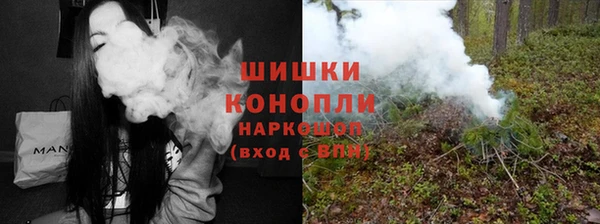 гашик Корсаков